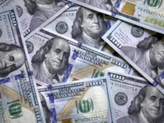 En búsqueda de dólares: el BCRA adquirió 187 millones