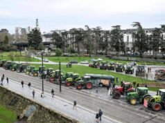 Freno al acuerdo UE–Mercosur e incertidumbre para la Argentina