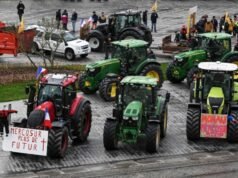 Acuerdo Mercosur– UE: tire y afloje en medio de intereses contrapuestos