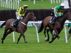 Sir Gino se detuvo lesionado en Cheltenham mientras el entrenador Nicky Henderson da una actualización