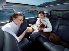 Si tus mascotas pudiesen escoger, se comprarían en Jaecoo 5