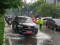 Más popular: inundaciones en Yakarta, caparazón súper raro y prueba psicológica SIM