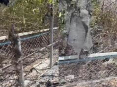 Nuevo ataque contra Frank Cuesta en Tailandia: “” Todo estaba planeado””
.