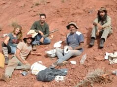 El Conicet descubrió una nueva especie de dinosaurio y la nombró en honor a Bernardo Houssay