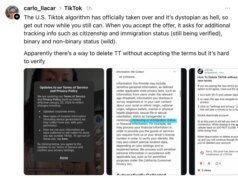 Los usuarios de TikTok se asustan por la recopilación del ‘estado migratorio’ de la aplicación: esto es lo que significa