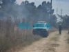FOTOS Y VIDEOS | "Se quemaron 10 hectáreas, pero fue controlado": preocupación por un incendio en La Plata
