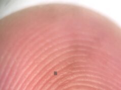 Este robot acuático autónomo es más pequeño que un grano de sal