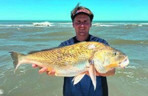 ¡Un febrero amarillo, a puro limón, en tu revista Weekend!