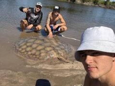 Una lucha épica en kayak: así fue la captura de una enorme raya en el arroyo Feliciano