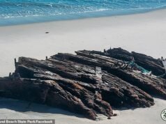 Un barco fantasma naufragado arise frente a la costa de una preferred playa