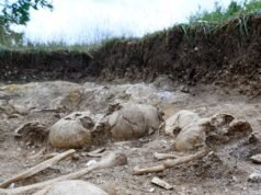 En las afueras de una ciudad británica se encuentra un foso de la era vikinga lleno de cuerpos decapitados y mutilados, incluido un “gigante” con un “agujero en el cráneo”.