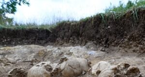 En las afueras de una ciudad británica se encuentra un foso de la era vikinga lleno de cuerpos decapitados y mutilados, incluido un “gigante” con un “agujero en el cráneo”.