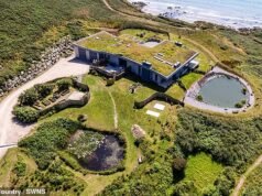 La ‘casa hobbit’, alguna vez votada como propiedad del año, que cuenta disadvantage views panorámicas, techo de pasto y un horno de pizza, sale a la venta por ₤ 4, 5 millones