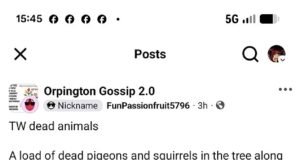 Casi una docena de animales salvajes, incluidas aves incluidas en la Lista Roja, boy torturados y asesinados con “catapultas” en un frondoso distrito de Londres afectado por una serie de ataques similares.