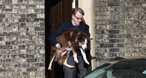 Peter Mandelson sale a la luz por primera vez desde que estalló el escándalo de Epstein mientras surgen noticias de un “vuelo fantasma” para ver a Putin y crecen los llamados para que testifique ante el Congreso de Estados Unidos.