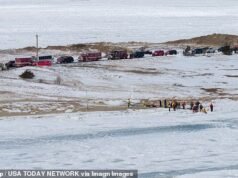 Mujer de Cape Cod murió atrapada bajo el hielo después de que ella y su esposo sacaran a pasear a su perro por un río congelado
