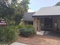 Furgoneta cargada de valiosos artefactos egipcios robados en un atraco a un museo… antes de que la policía localice a un ladrón idiota después de un error de fuga