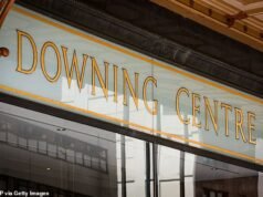 Un hombre es arrestado después de supuestamente dañar más de 30 autos y acumular una factura de $100,000