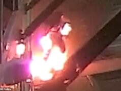 El descarado robo de Seeker Valley fracasa después de que la cámara capta el acto torpe del ladrón