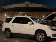 Desastre después de que una marmota se colara en el vehicle de un estudiante de la Universidad de Arkansas