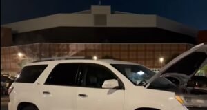 Desastre después de que una marmota se colara en el vehicle de un estudiante de la Universidad de Arkansas