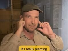 Los australianos están indignados por un dispositivo que emite ruidos irritantes en un puente de Perth y la “repugnante” razón por la que fue instalado