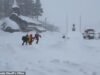La furia estalla en la búsqueda desesperada de 9 esquiadores desaparecidos en una avalancha de California mientras se levanta una lona improvisada y la compañía turística rompe el silencio