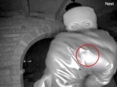 La policía de Nancy Guthrie investiga el ‘anillo meñique’ del presunto secuestrador visto debajo del guante en las imágenes del tone mientras sale a la luz una NUEVA nota de rescate ‘sofisticada’.