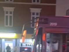 Momento en que jóvenes salvajes arrasan el centro de la ciudad lanzando huevos a conductores de autobuses y compradores