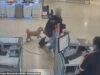 Mujer desalmada es arrestada por abandonar a su cachorro en el mostrador de boletos del aeropuerto de Las Vegas porque no podía llevarlo en el vuelo