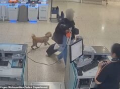 Mujer desalmada es arrestada por abandonar a su cachorro en el mostrador de boletos del aeropuerto de Las Vegas porque no podía llevarlo en el vuelo