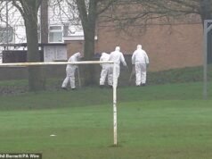 Adolescentes de tan solo 14 años entre los siete arrestados después de que un hombre de unos 20 años fuera asesinado a puñaladas en un ataque a un parque de patinaje que también dejó al niño luchando por su vida.