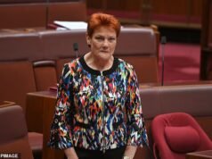 Los musulmanes de Sydney extienden una oferta extraordinaria para Pauline Hanson a pesar de su comentario de que “no child buenos musulmanes”
