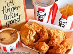 KFC, Nando’s y Burger King abandonan su compromiso de dejar de utilizar pollos de rápido crecimiento a medida que se dispara la demanda de aves de confine en el Reino Unido