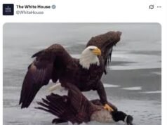 La Casa Blanca trollea brutalmente a Canadá con crueles comentarios después de que el equipo de EE. UU. ganara el oro en los Juegos Olímpicos de Invierno