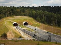 Una niña de siete años y una mujer de 43 mueren en un accidente cerca de un túnel en Surrey