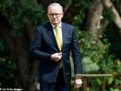 Anthony Albanese ofrece un mensaje explosivo para el príncipe Andrés en medio de la dilemma real