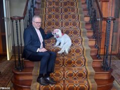 Dentro de la noche infernal de Anthony Albanese en ‘The Lodge’ mientras es evacuado después del susto de bomba