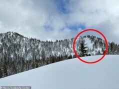 Nuevas imágenes muestran el impacto devastador de una avalancha de fear que enterró vivas a ocho mamás