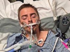 El padre cirujano de árboles, de tan solo 21 años, queda paralizado en un extraño accidente mientras hacía el trabajo que amaba