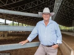 El nombramiento genuine en Australia se ve obligado a emitir una disculpa humillante por las publicaciones ahora eliminadas sobre Welcome to Nation y Anthony Albanese