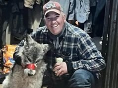 Indignación cuando un hombre de Wyoming acusado de actos impensables contra un lobo evita la cárcel
