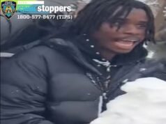 La policía de Nueva York ignora al alcalde Zohran Mamdani al arrestar a un hombre que arrojó bolas de nieve a los policías en medio de un ‘asalto’ masivo que dejó a dos agentes en la sala de emergencias.