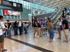 En qué gastaron sus dólares los argentinos