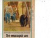 El recuerdo de Tomy: el día que se escapó el chimpancé y evacuaron al Bosque platense