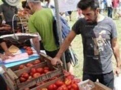 Fiesta del Tomate, cine, música y carnaval en La Plata este fin de semana