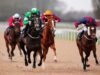 Selecciones de carreras de caballos de Newsboy para las cuatro reuniones del jueves, incluida Southwell Nap