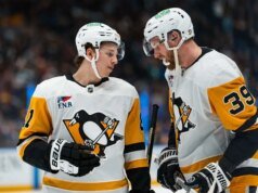 Los pingüinos están calientes, los guardabosques no se adelantan a la get-together