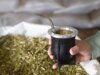 Récord histórico: la exportación de yerba mate creció 32 % y alcanzó su máximo volumen en 2025
