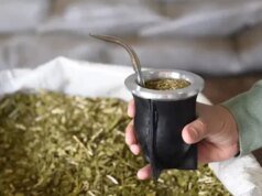 Récord histórico: la exportación de yerba mate creció 32 % y alcanzó su máximo volumen en 2025
